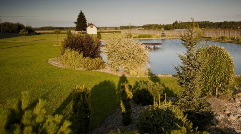 مشتل النباتات