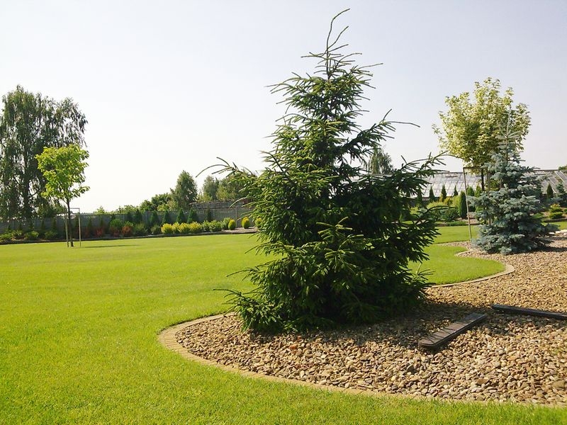 مركز الحدائق